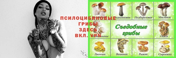 соль курить ск Ельня